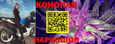 шишки Коммунар