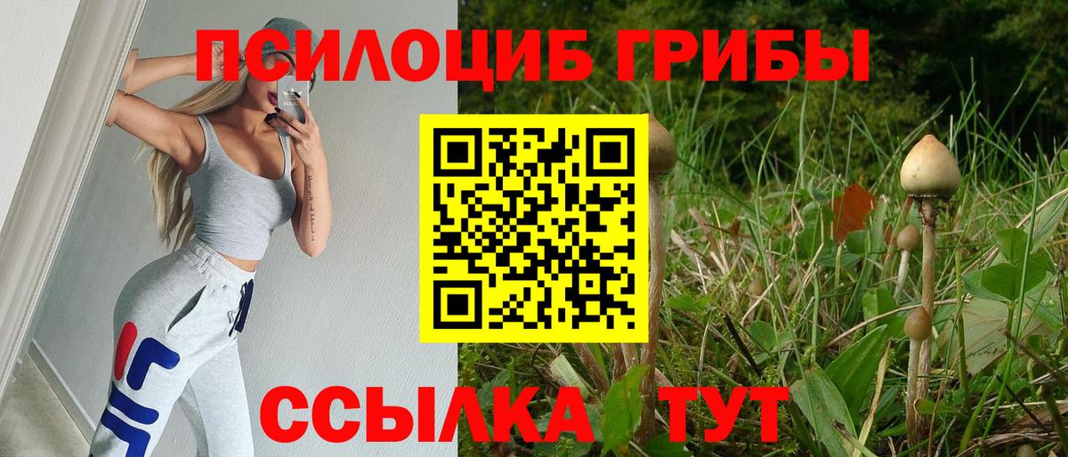 Крымск  Псилоцибиновые грибы мухоморы  Вход с VPN 